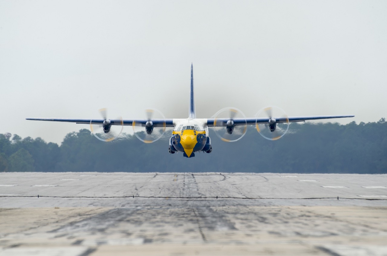 Riebalinis Albertas, Lėktuvas, Mėlyni Angelai, Karinis Jūrų Laivynas, Skrydžio Demonstravimo Eskadra, C-130 Hercules, Kroviniai, Kariuomenė, Skraidantis, Skrydis