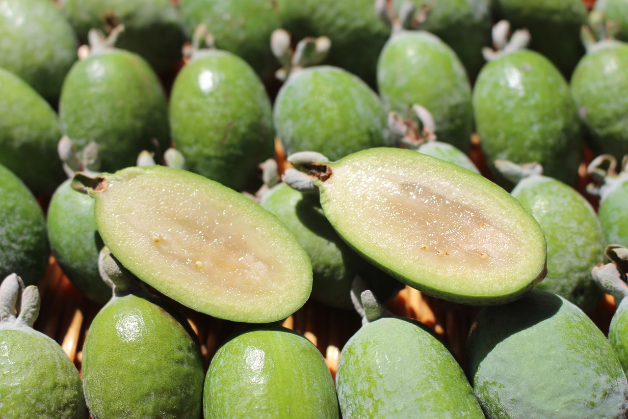 Feijoas,  Ananasų Gvajavos,  Guavasteen,  Acca,  Amerikinė Aka,  Vaisių,  Žalias,  Maisto,  Gamta, Nemokamos Nuotraukos