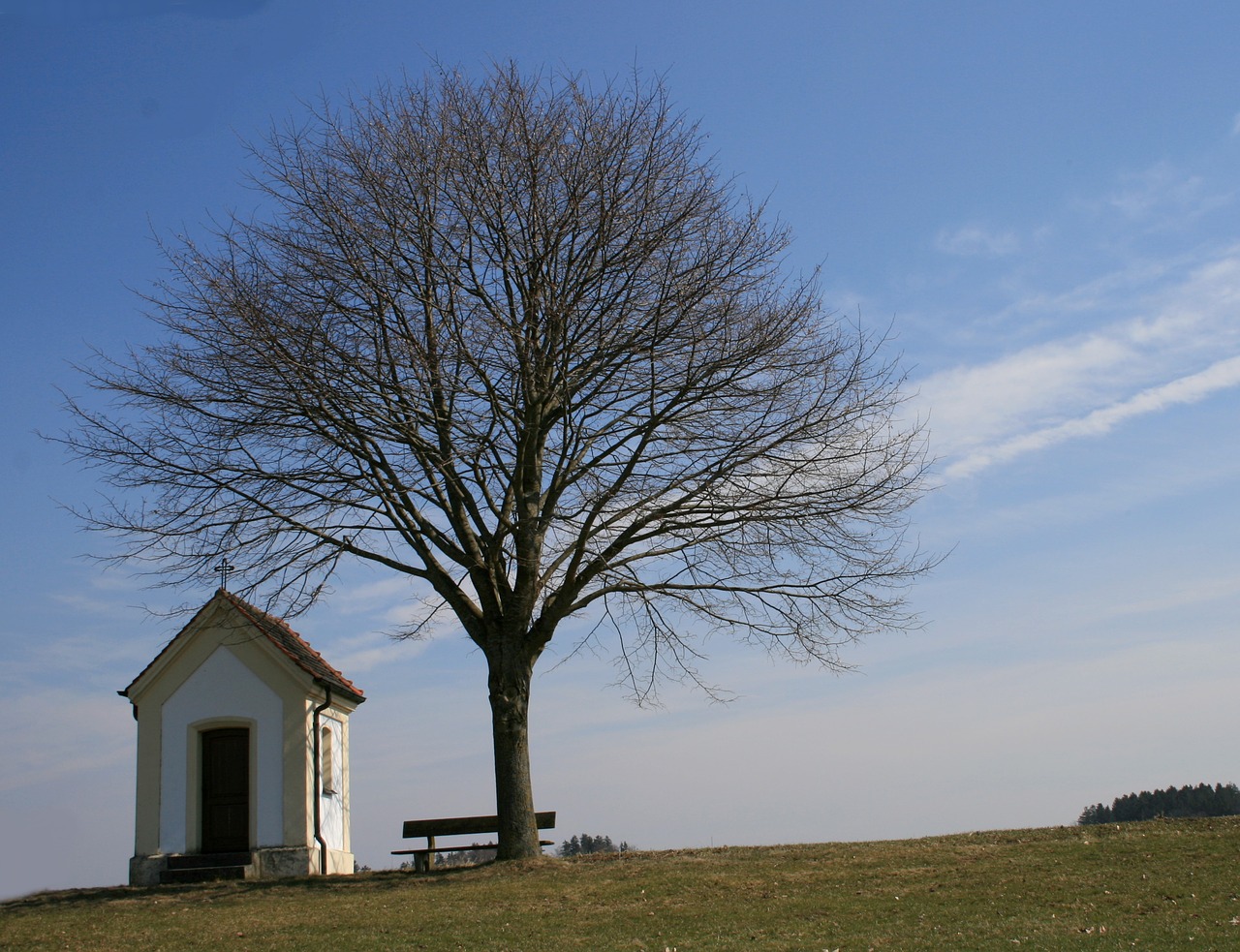 Feldkapelle, Medis, Bankas, Pavasaris, Gamta, Kraštovaizdis, Dangus, Žalias, Mėlynas, Idilija