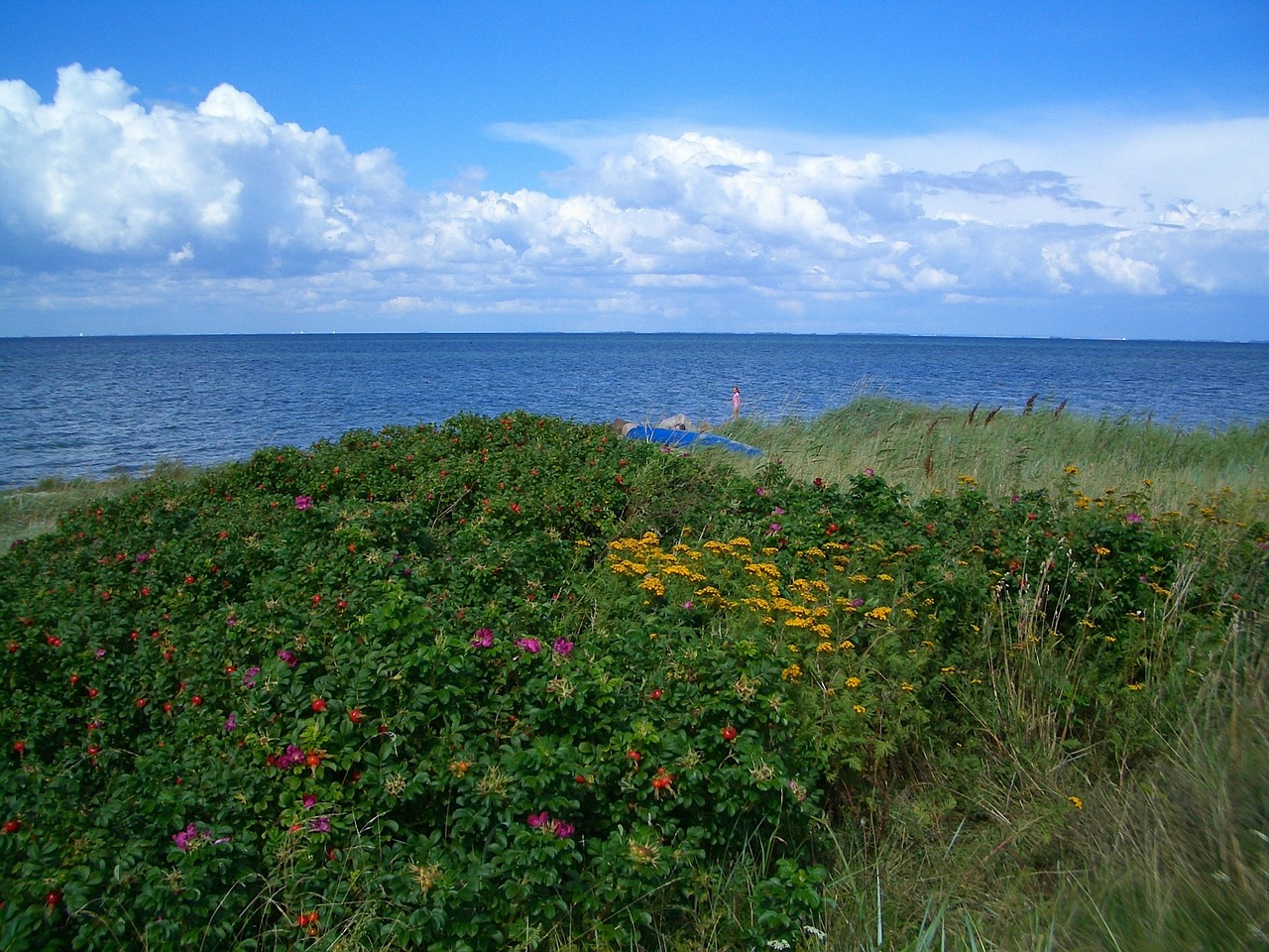 Femo, Denmark, Kraštovaizdis, Vaizdingas, Sala, Dangus, Debesys, Jūra, Vandenynas, Vanduo