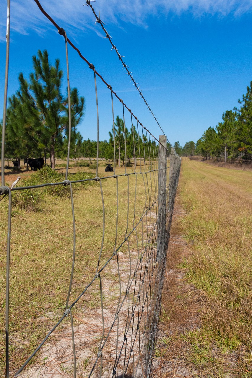 Tvora, Šalis, Ūkis, Kaimas, Žolė, Kaimiškas, Laukas, Nemokamos Nuotraukos,  Nemokama Licenzija