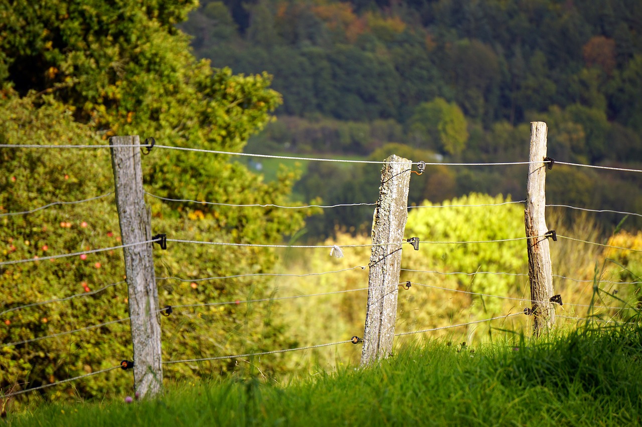 Tvora, Ganyklų Tvora, Pranešimas, Viela, Demarkacija, Nemokamos Nuotraukos,  Nemokama Licenzija