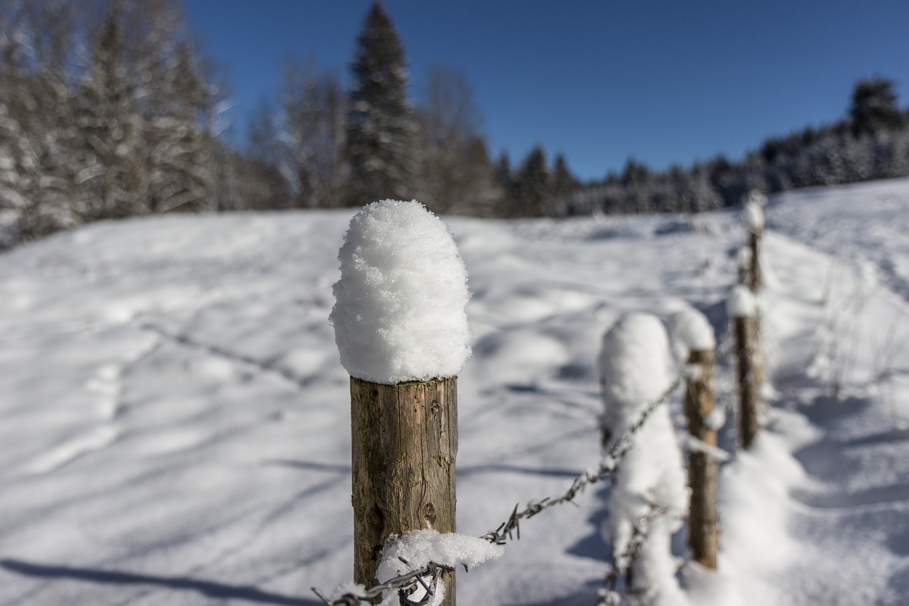 Tvora, Ganyklų Tvora, Mėlynas, Mėlynas Oras, Gamta, Sniegas, Saulė, Saulės Šviesa, Steingadenas, Eglės