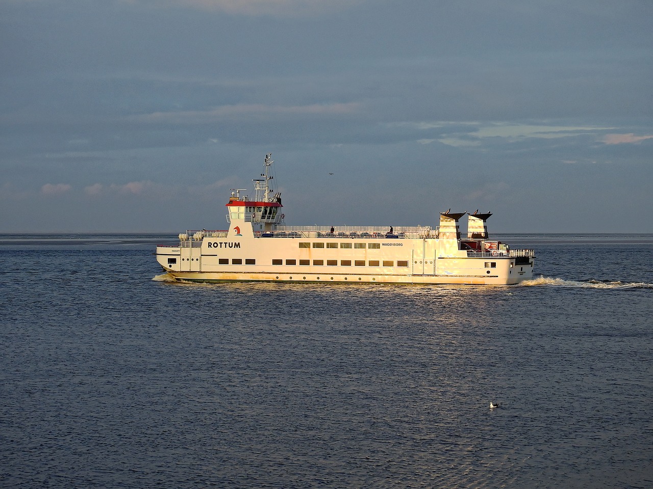 Keltas, Laivas, Boot, Jūra, Ežeras, Vanduo, Šiaurės Jūra, Holland, Nyderlandai, Nemokamos Nuotraukos