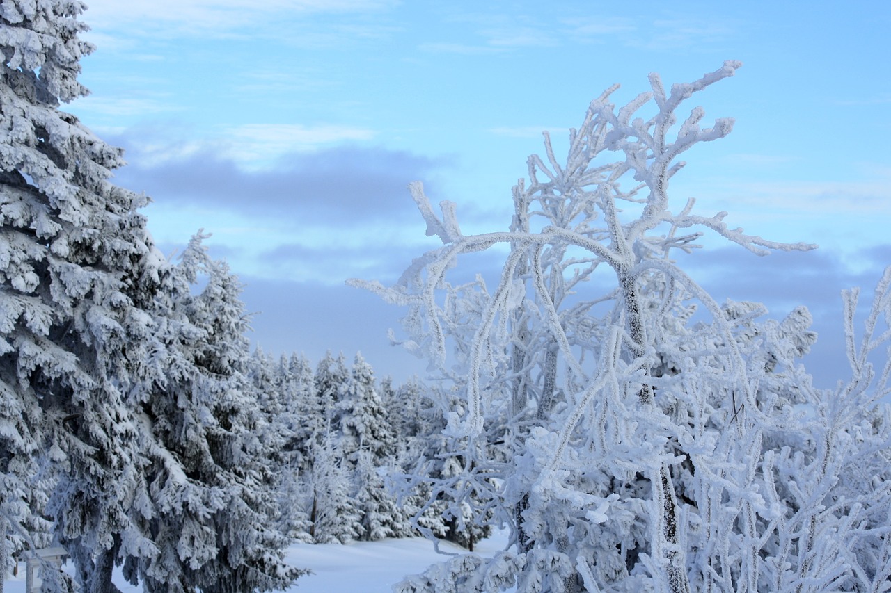 Fichtelberg, Ledynmetis, Gruodžio Mėn ., Nemokamos Nuotraukos,  Nemokama Licenzija