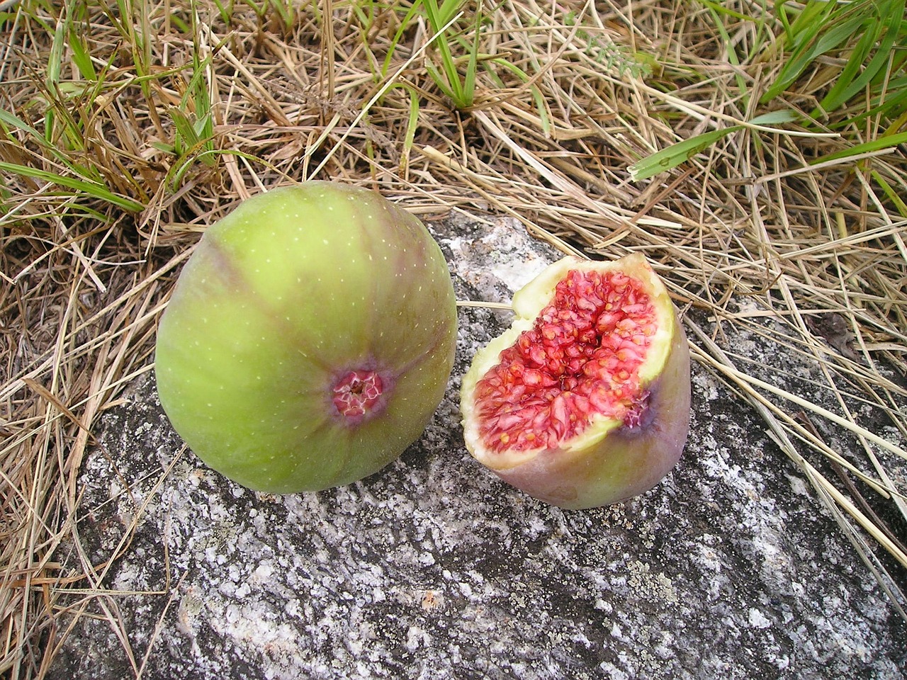 Ficus, Fig., Ficus Carica, Euro Dinastija, Vaisiai, Saldus, Frisch, Valgyti, Maistas, Italy