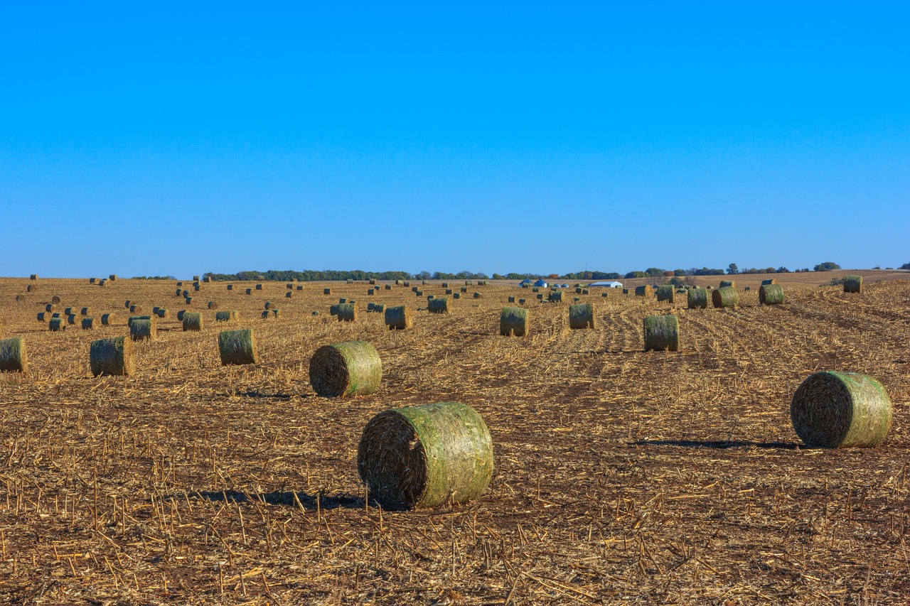 Laukas, Šieno Ryšulius, Šienas, Žemės Ūkio Paskirties Žemė, Nemokamos Nuotraukos,  Nemokama Licenzija