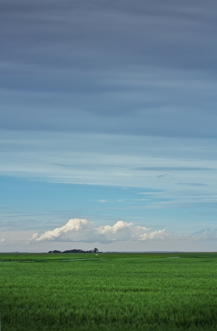 Laukas, Prairie, Ūkis, Atviras Laukas, Prairio Gyvenimas, Saskatchewan, Alberta, Kraštovaizdis, Kaimas, Kaimas