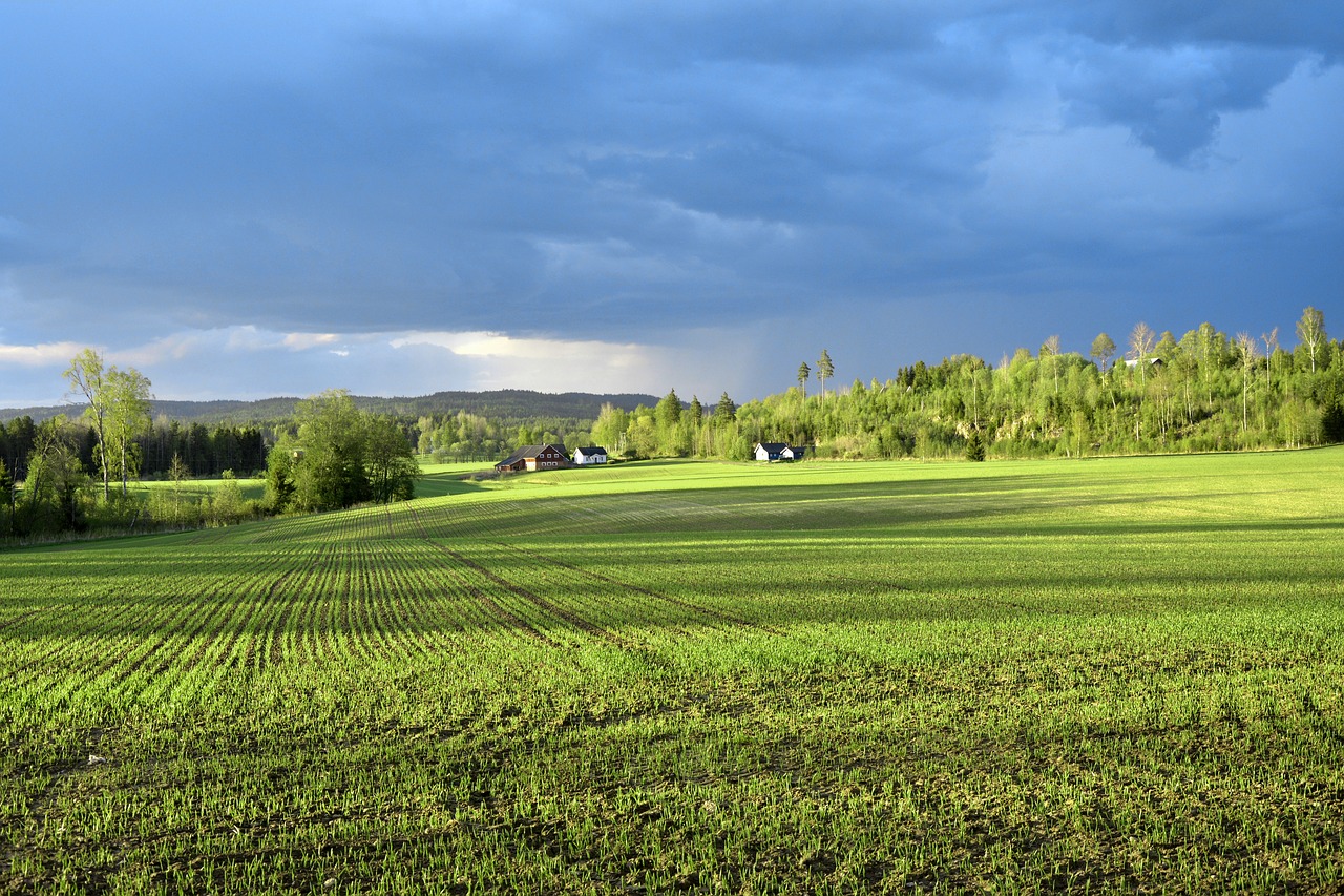 Laukas, Audra, Debesys, Kraštovaizdis, Audros Debesys, Vaizdas, Gamta, Debesų Danga, Žalias, Nemokamos Nuotraukos