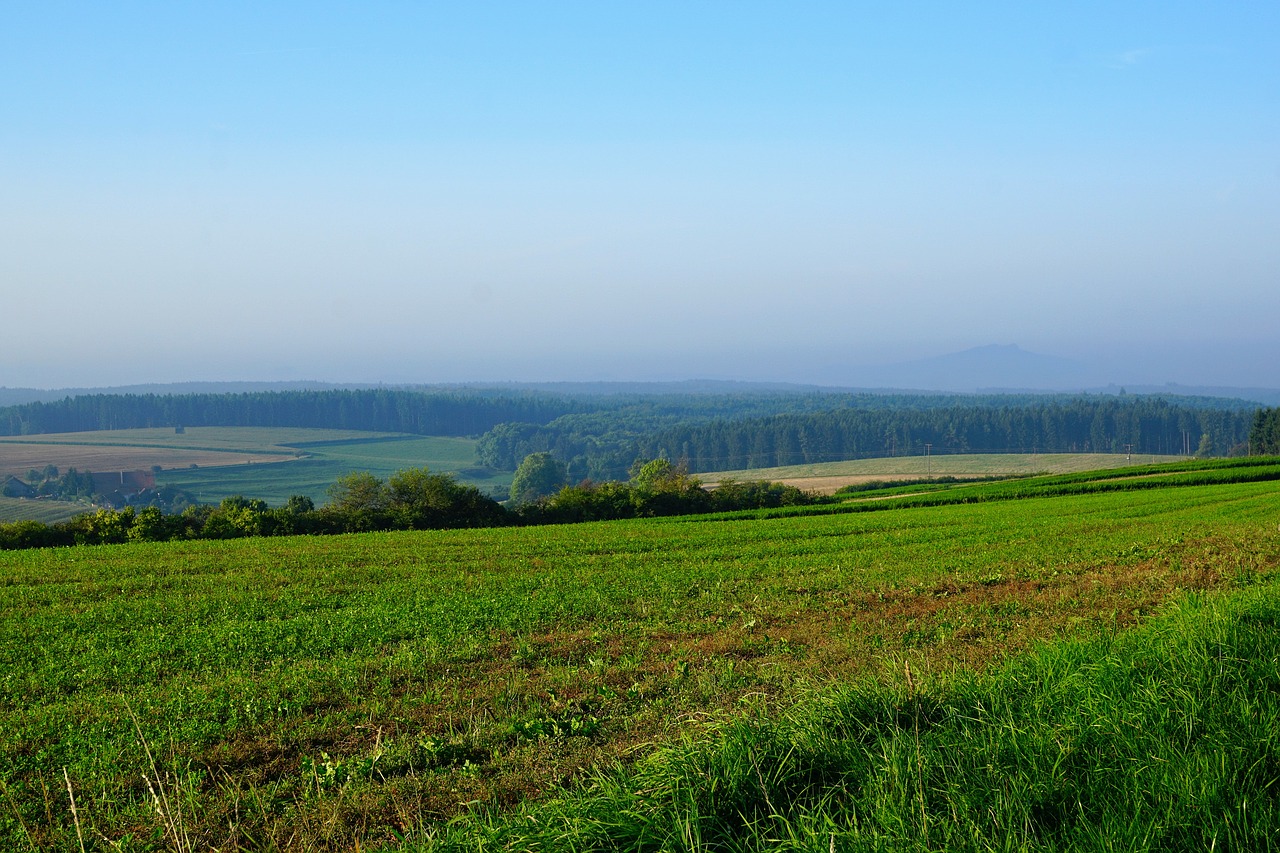 Laukas, Pieva, Emmingen, Liptingen, Tuttlingen, Šveicarija, Hegau, Praleisti Kalnus, Vasara, Derlius