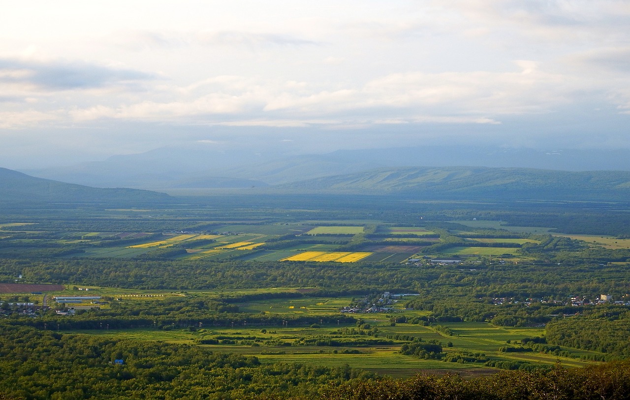 Laukas, Pieva, Laistymas, Gėlės, Vasara, Gamta, Žolė, Dangus, Kraštovaizdis, Žalumos