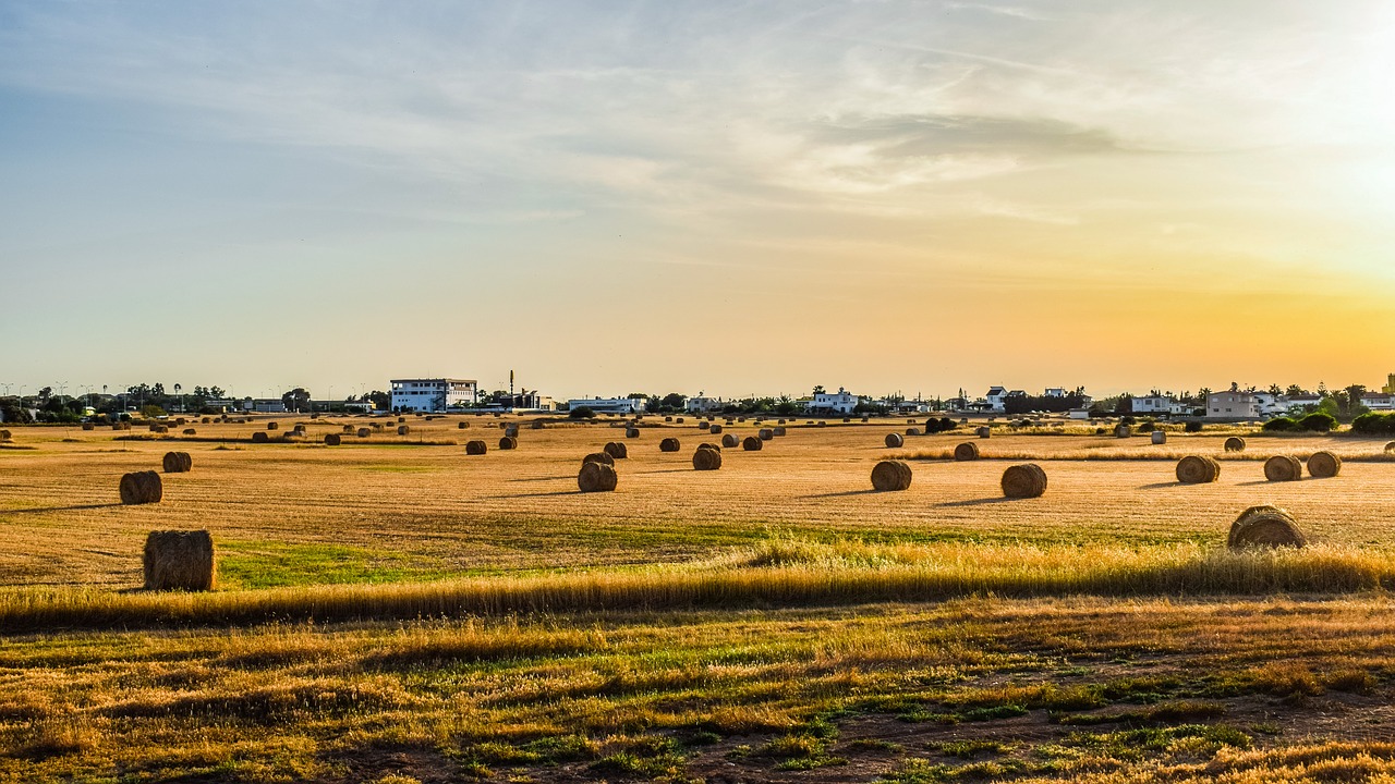 Laukas,  Kraštovaizdis,  Žemdirbystė,  Ūkis,  Pobūdį,  Kaimo,  Kaimo,  Hayfield,  Peizažas,  Dangus