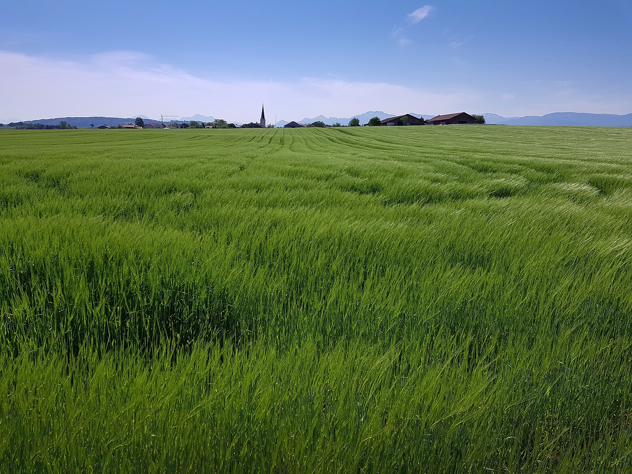 Laukas,  Ariama,  Kraštovaizdis,  Pobūdį,  Žemdirbystė,  Žalias,  Grūdai,  Kaimas,  Kalnai, Nemokamos Nuotraukos