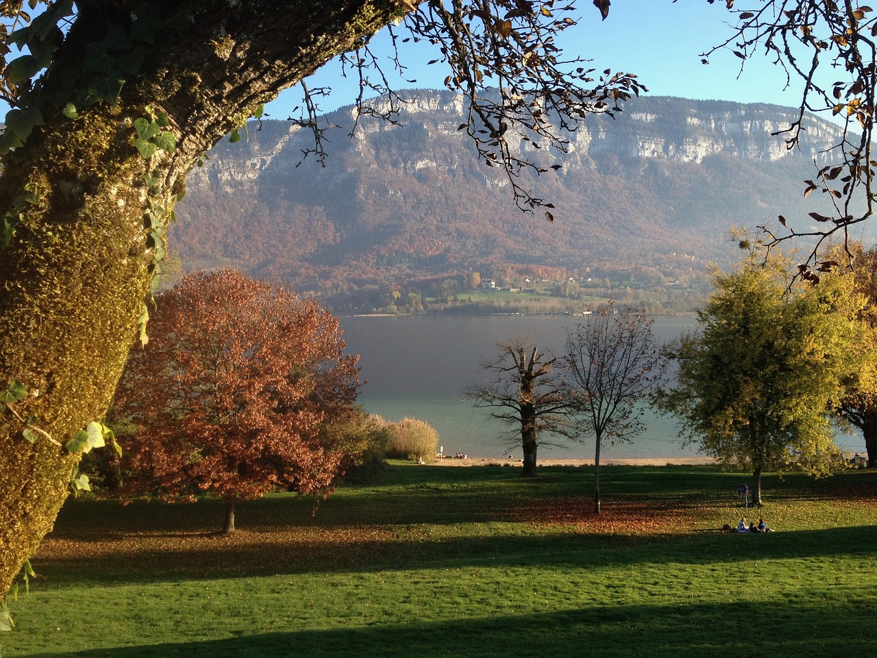 Laukas,  Miškas,  Pobūdį,  Kraštovaizdis,  Medžiai,  Kristi,  Prancūzija,  Žygiai,  Ežeras, Nemokamos Nuotraukos