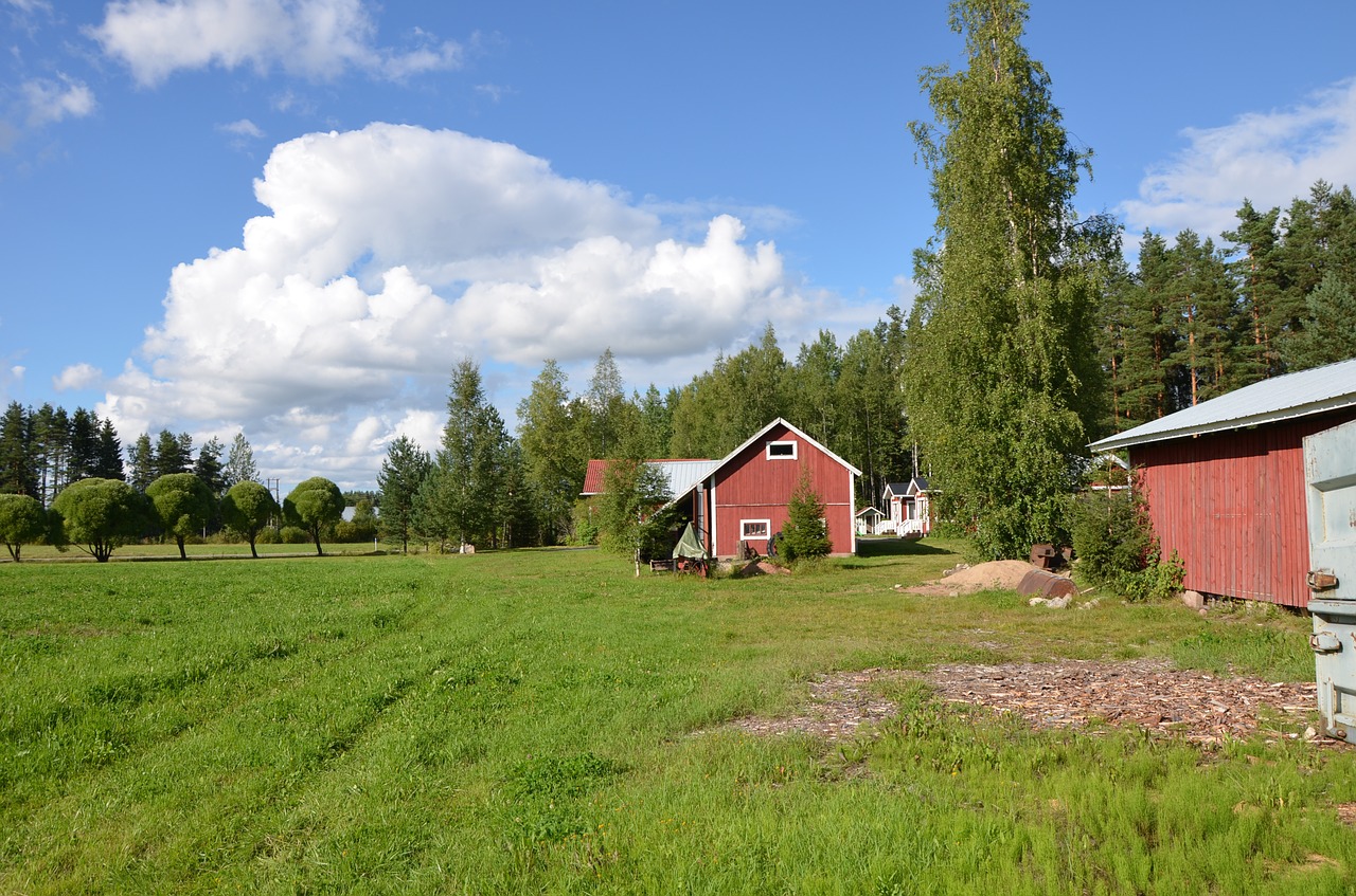 Laukas, Žolė, Gamta, Kraštovaizdis, Prairie, Ganyklos, Lauke, Dangus, Laukiniai, Tamperė