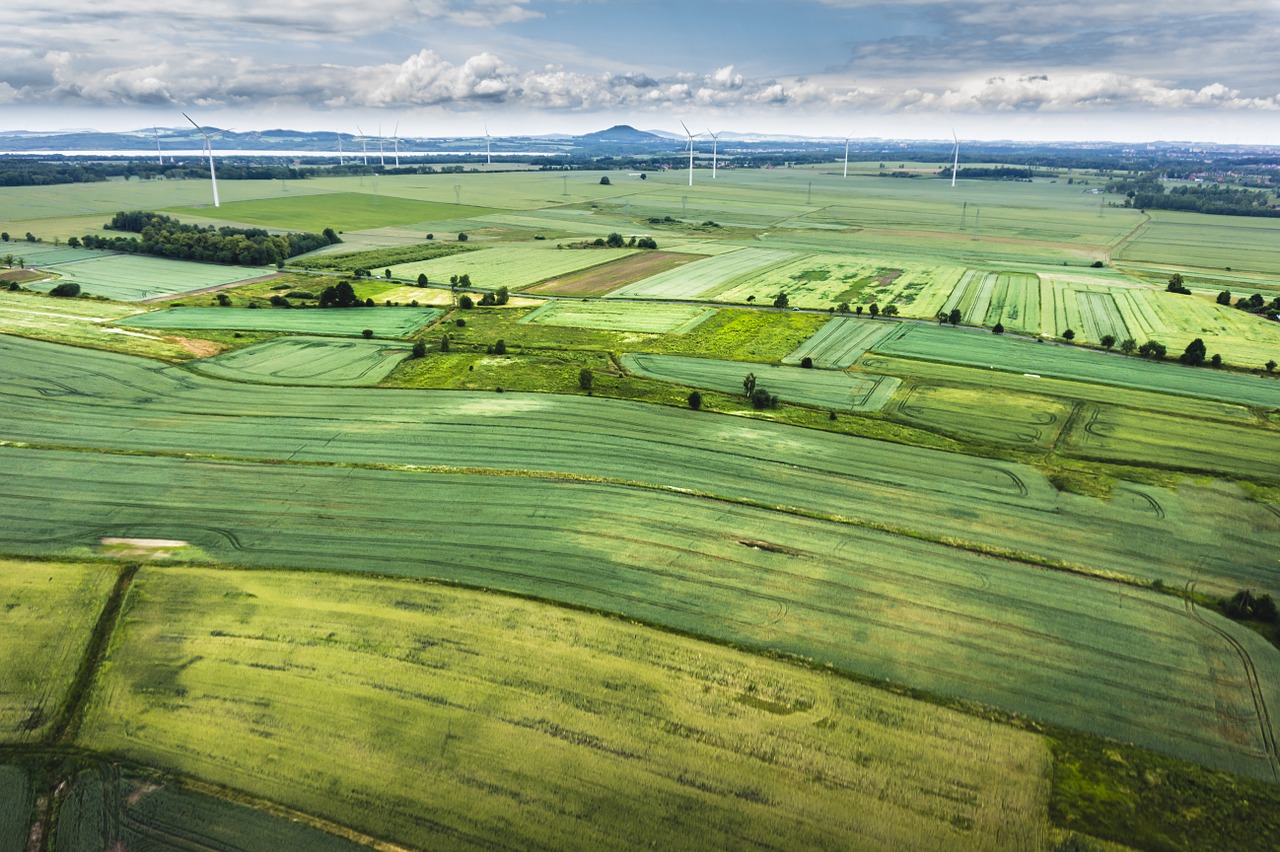 Laukas, Žemdirbystė, Gamta, Žemė, Antena, Žalias, Pavasaris, Laukiniai, Natūralus, Miestas