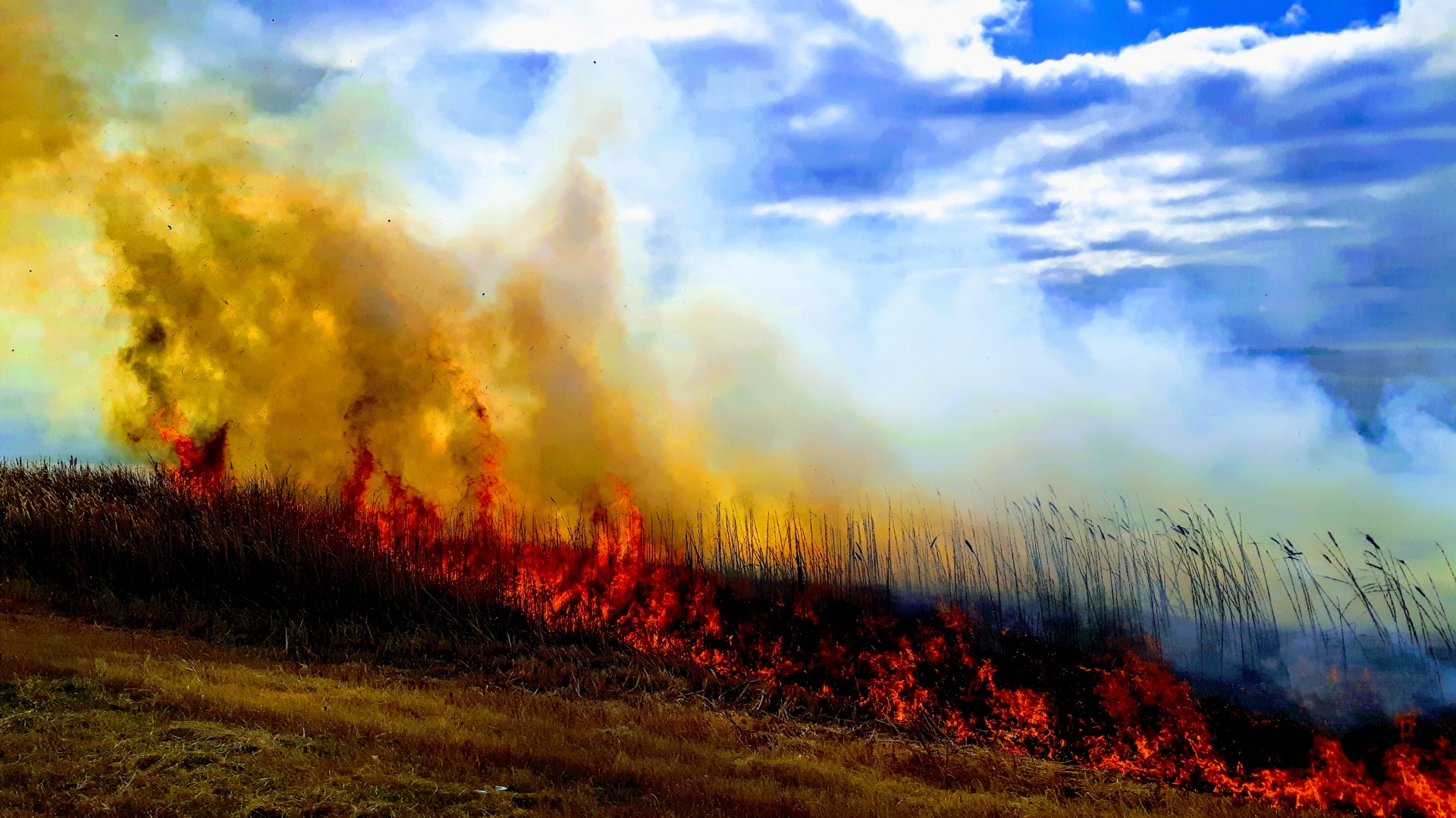 Ugnis,  Laukas,  Bushfire,  Žemdirbystė,  Dūmai,  Laukinė Ugnis,  Lauko Ugnis, Nemokamos Nuotraukos,  Nemokama Licenzija
