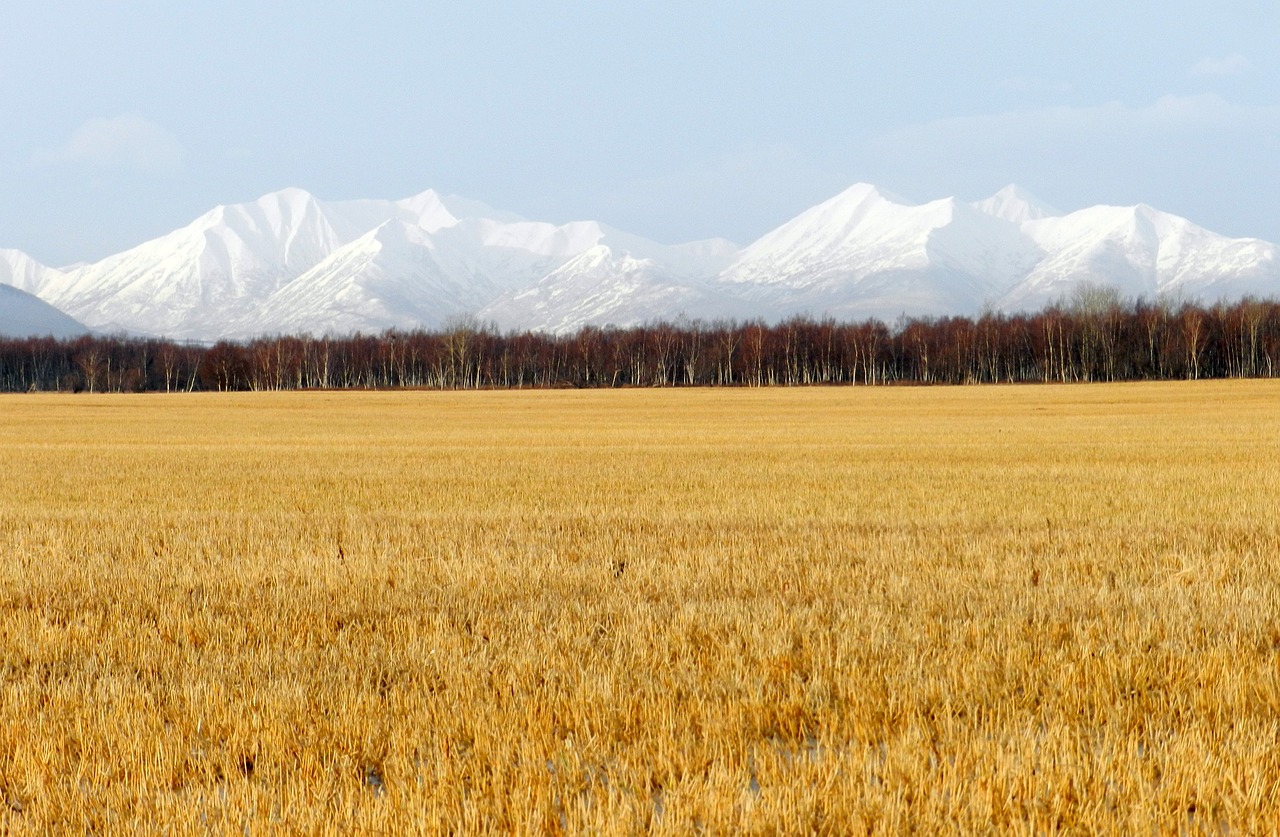 Laukai, Vėlyvas Ruduo, Žolė, Kalnai, Miškas, Gamta, Kraštovaizdis, Aukso Ruduo, Sniegas Kalnuose, Saulėta Diena