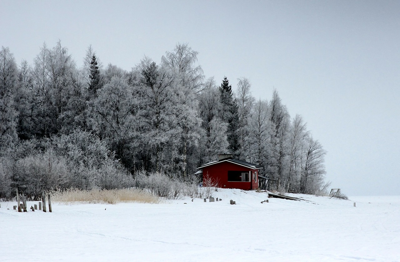 Finland, Kraštovaizdis, Vaizdingas, Miškas, Medžiai, Miškai, Žiema, Sniegas, Ledas, Namas