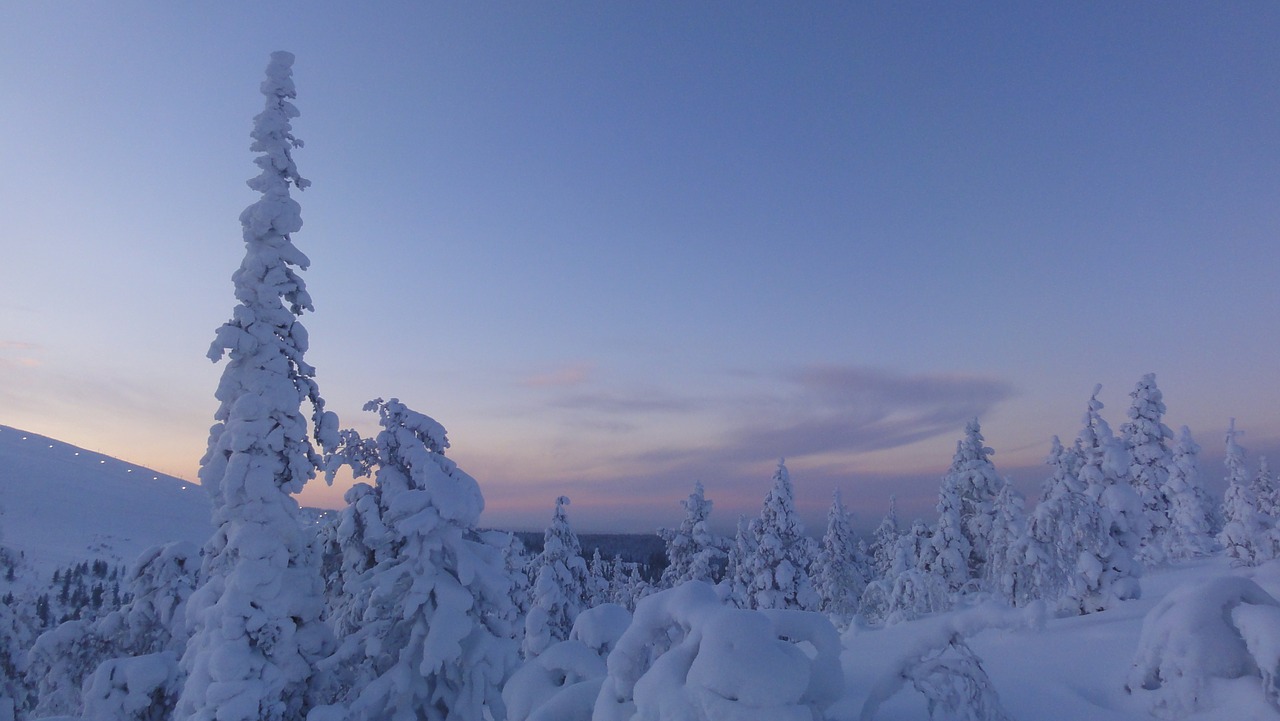 Finland, Žiema, Sniegas, Snieguotas, Arktinis Apskritimas, Laplandas, Nemokamos Nuotraukos,  Nemokama Licenzija