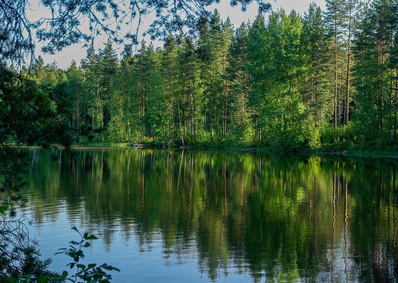 Finland, Ežeras, Miškas, Apmąstymai, Nemokamos Nuotraukos,  Nemokama Licenzija