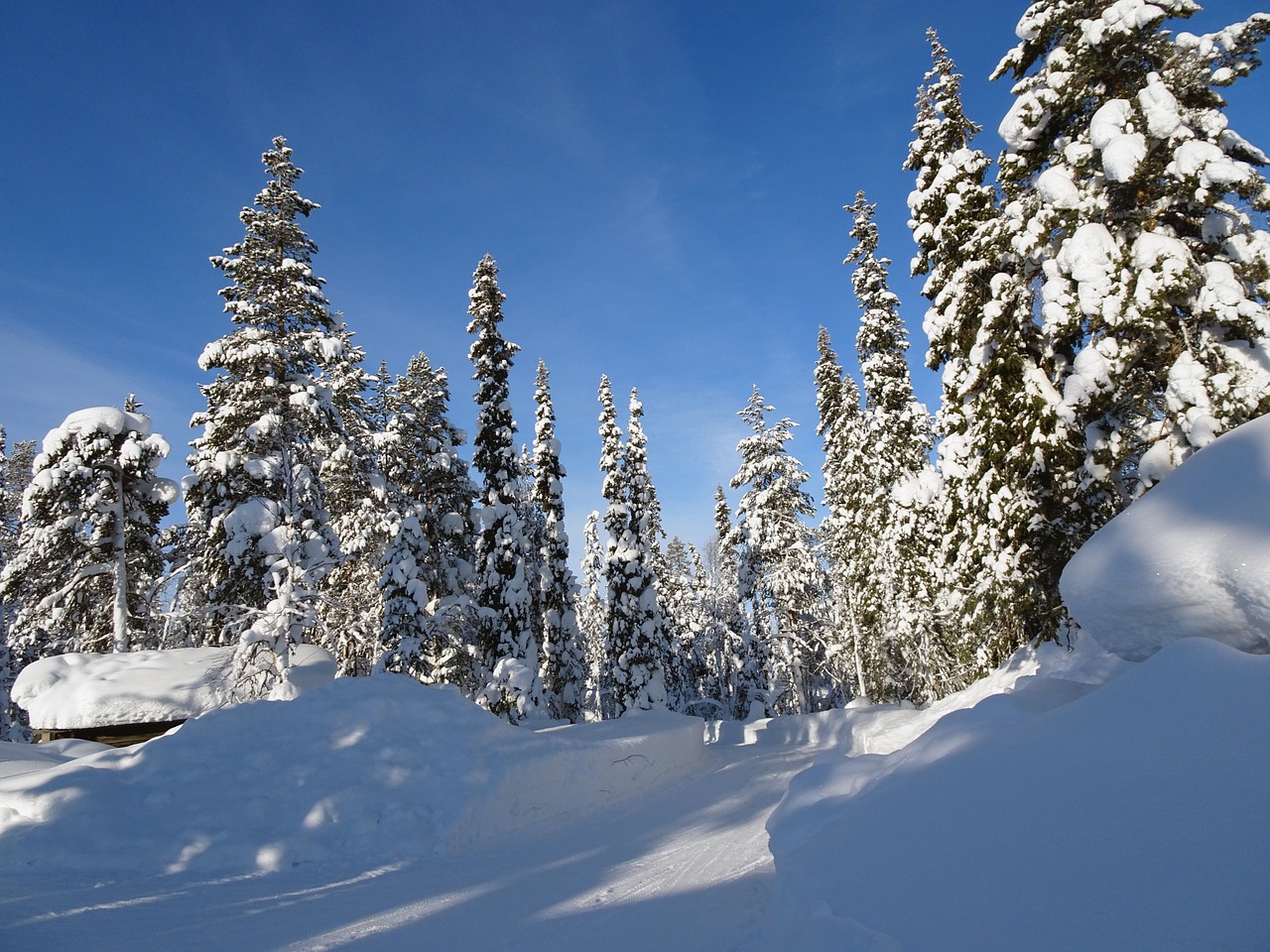 Finland, Žiema, Žiemą, Laplandas, Šaltas, Sniegas, Snieguotas, Kraštovaizdis, Žiemos Nuotaika, Nemokamos Nuotraukos