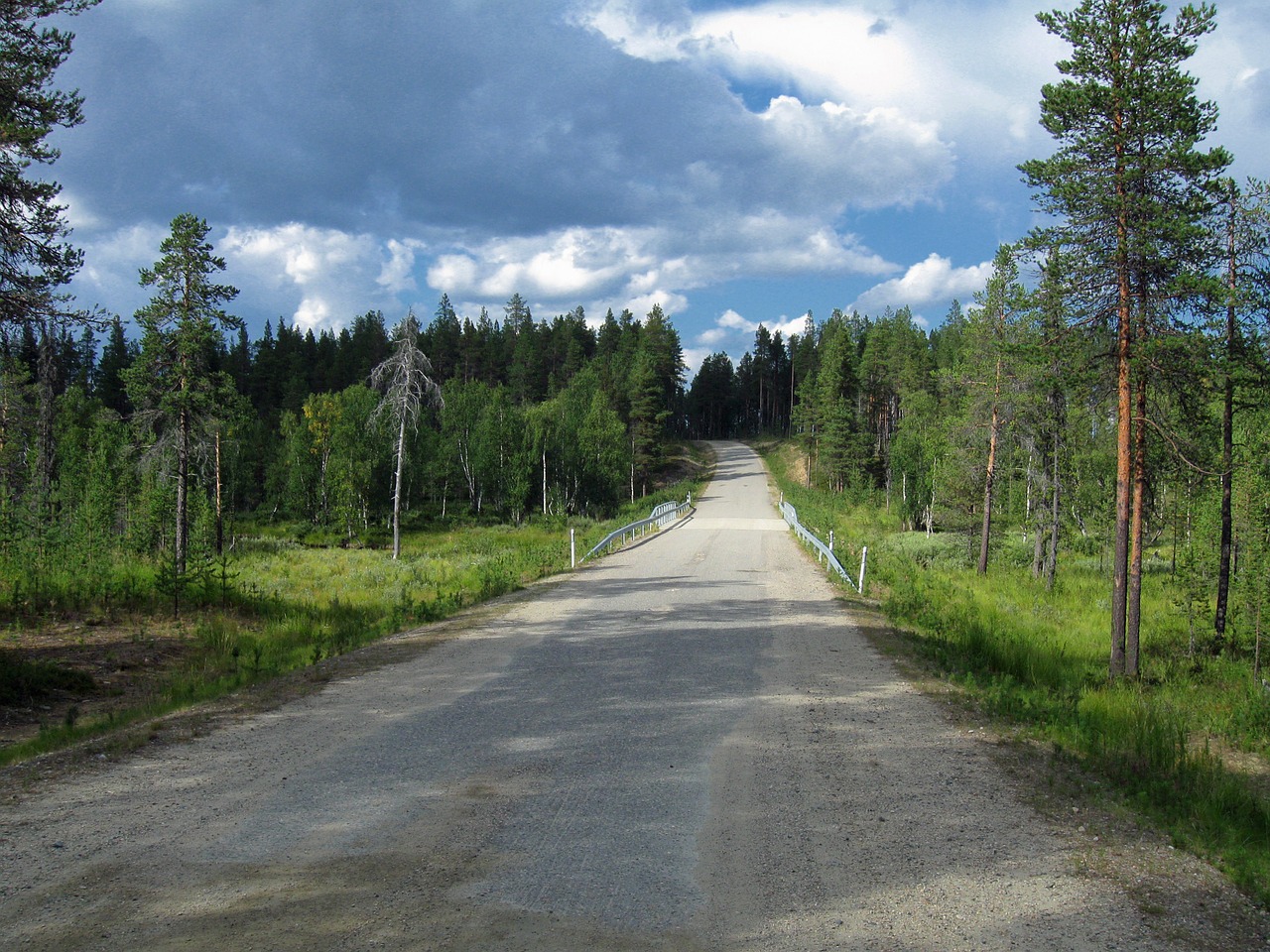 Finland, Kraštovaizdis, Vaizdingas, Miškas, Medžiai, Miškai, Kelias, Greitkelis, Gamta, Lauke