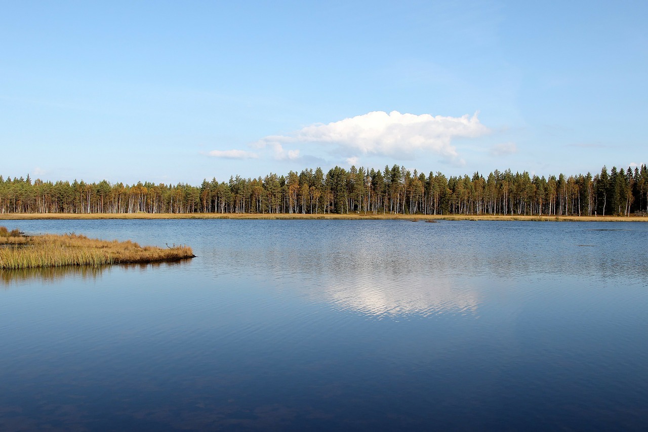 Finland, Ežeras, Vanduo, Vaizdingas, Dangus, Debesys, Miškas, Medžiai, Kritimas, Ruduo