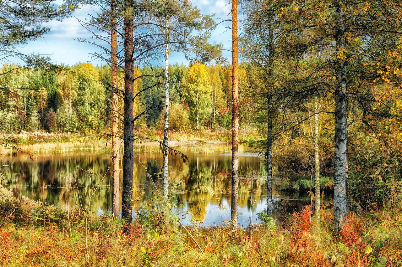 Finland, Hdr, Tvenkinys, Ežeras, Vanduo, Apmąstymai, Miškas, Medžiai, Ruduo, Kritimas