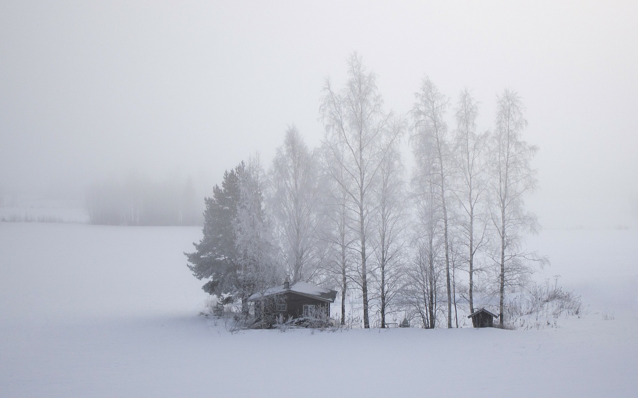 Finland, Sniegas, Laukas, Šaltas, Kajutė, Medžiai, Žiema, Kraštovaizdis, Balta, Nemokamos Nuotraukos