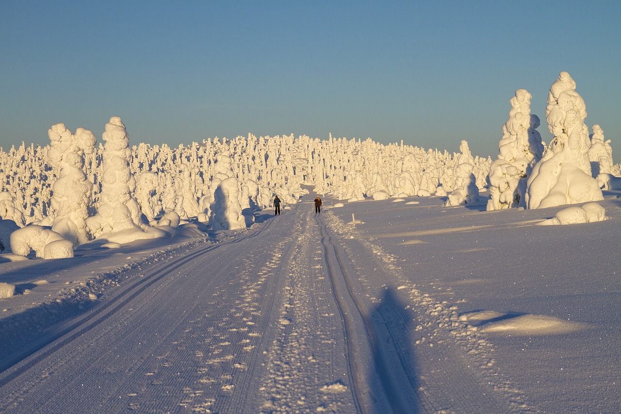 Finland, Laplandas, Žiemą, Dviračių Slidinėjimas, Takas, Nemokamos Nuotraukos,  Nemokama Licenzija