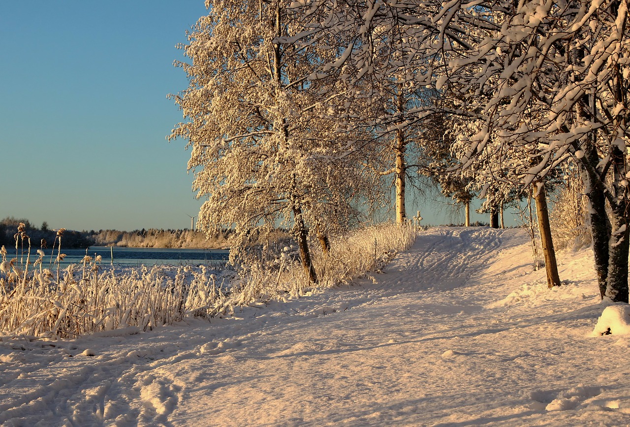 Finland, Kraštovaizdis, Vaizdingas, Žiema, Sniegas, Ledas, Medžiai, Kelias, Takas, Gamta