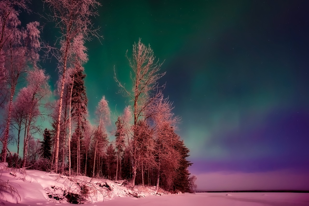 Finland, Šiaurės Pašvaistė, Aurora Borealis, Reiškinys, Gražus, Ežeras, Jūra, Vandenynas, Miškas, Medžiai