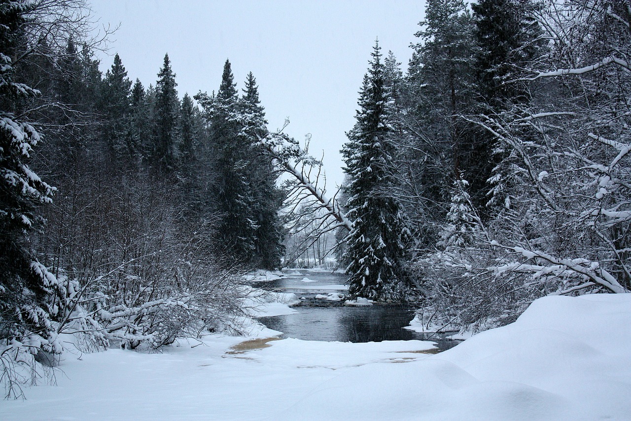 Finland, Kraštovaizdis, Žiema, Sniegas, Ledas, Srautas, Upė, Tvenkinys, Vanduo, Miškas