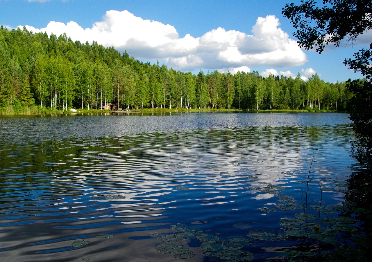 Finland, Ežeras, Miškas, Nemokamos Nuotraukos,  Nemokama Licenzija