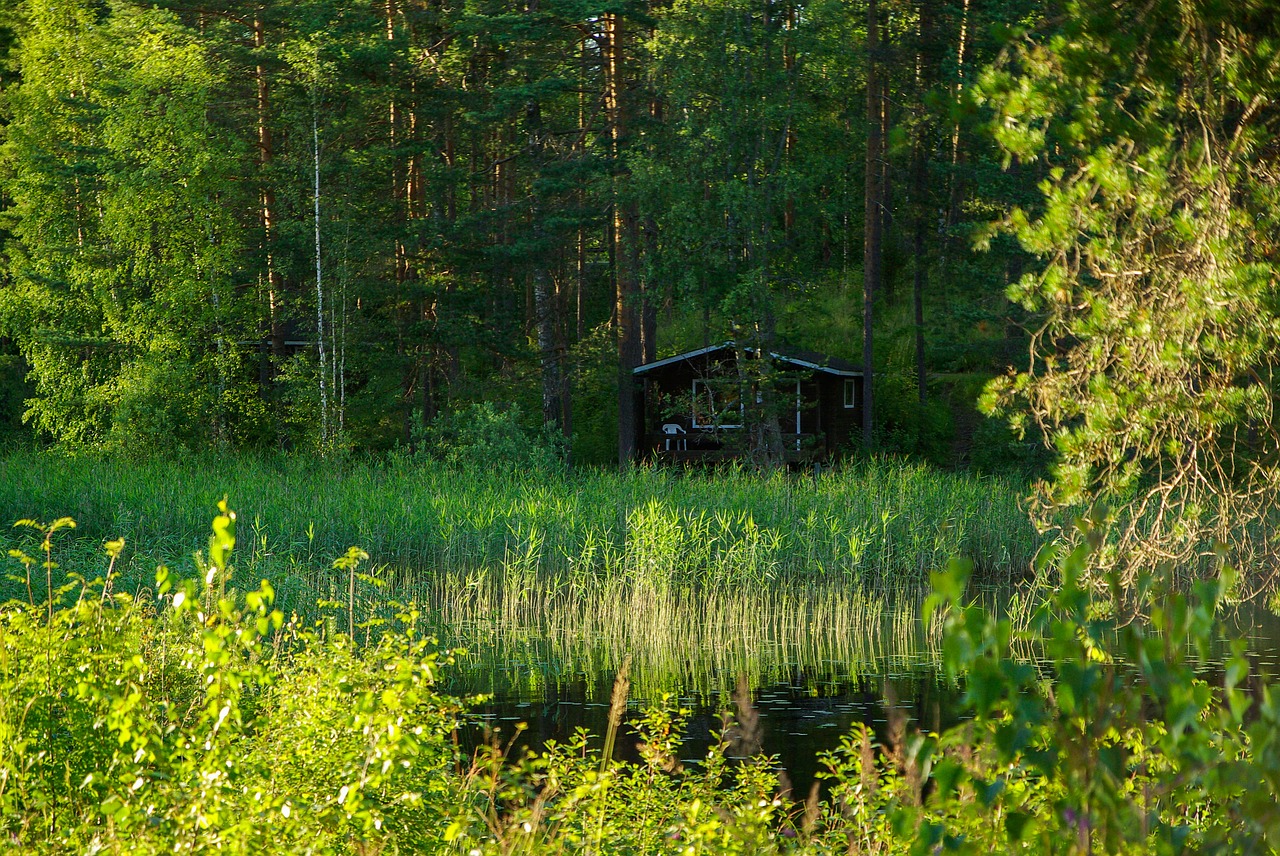 Finland, Ežeras, Nendrės, Miškas, Chalet, Nemokamos Nuotraukos,  Nemokama Licenzija