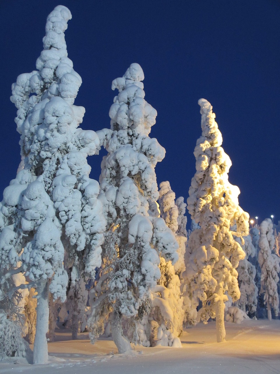 Suomių, Žiema, Sniegas, Šaltis, Gamta, Snieguotas, Kraštovaizdis, Žiemos Peizažas, Mediena, Spygliuočiai