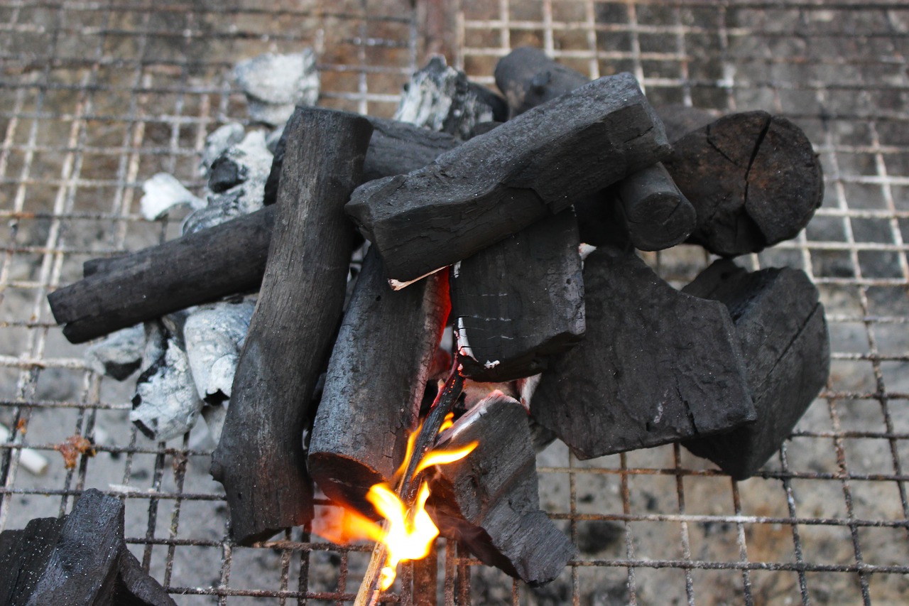 Ugnis, Medžio Anglis, Barbekiu, Karštas, Liepsna, Grilis, Šiluma, Juoda, Deginti, Anglis