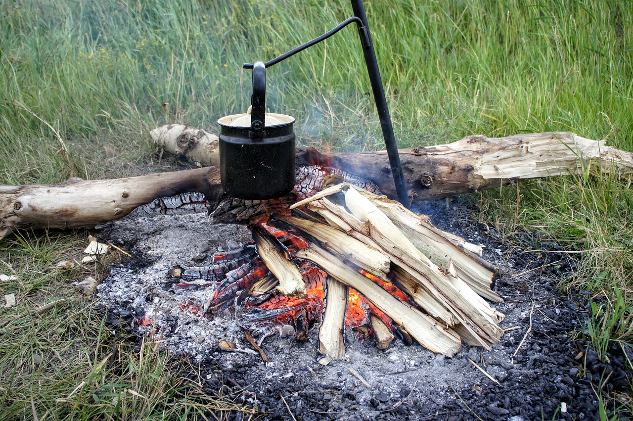 Židinys, Mediena, Ugnis, Užvirti Vandenį, Virėjas, Liepsna, Šiluma, Angelai, Laužavietė, Nemokamos Nuotraukos