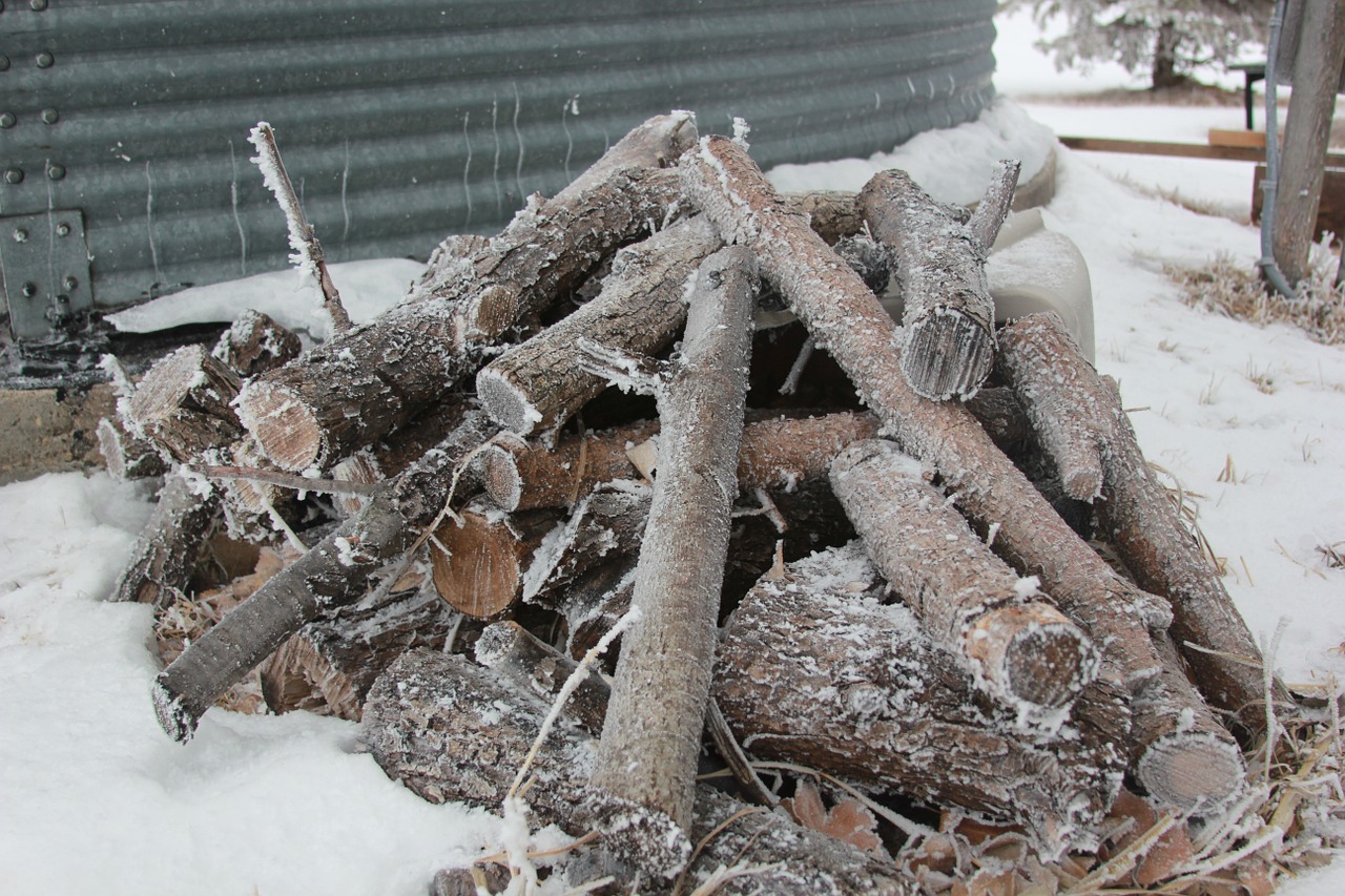 Malkos, Šaltis, Woodpile, Nemokamos Nuotraukos,  Nemokama Licenzija