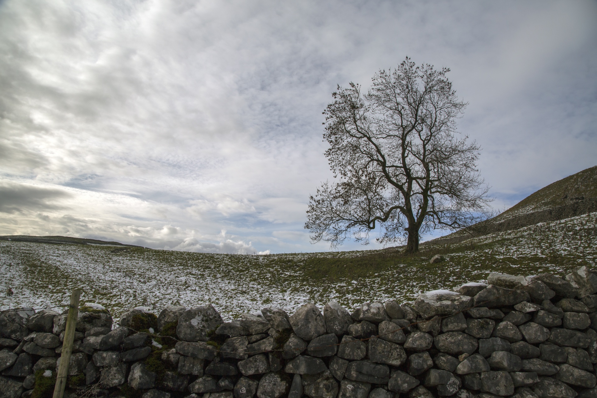 Malham,  Cove,  Uk,  Lauke,  Akmuo,  Parkas,  Nacionalinis,  Dales,  Žalias,  Šiaurė