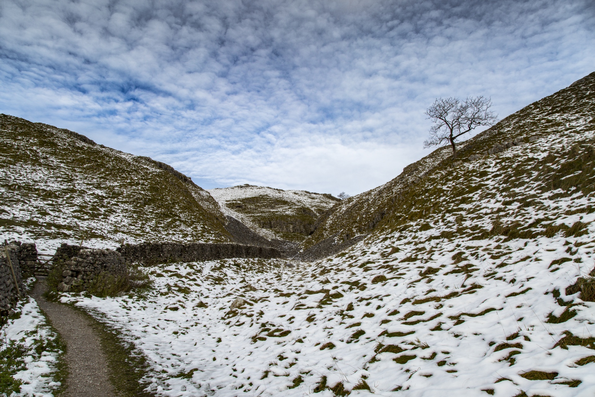 Malham,  Cove,  Uk,  Lauke,  Akmuo,  Parkas,  Nacionalinis,  Dales,  Žalias,  Šiaurė