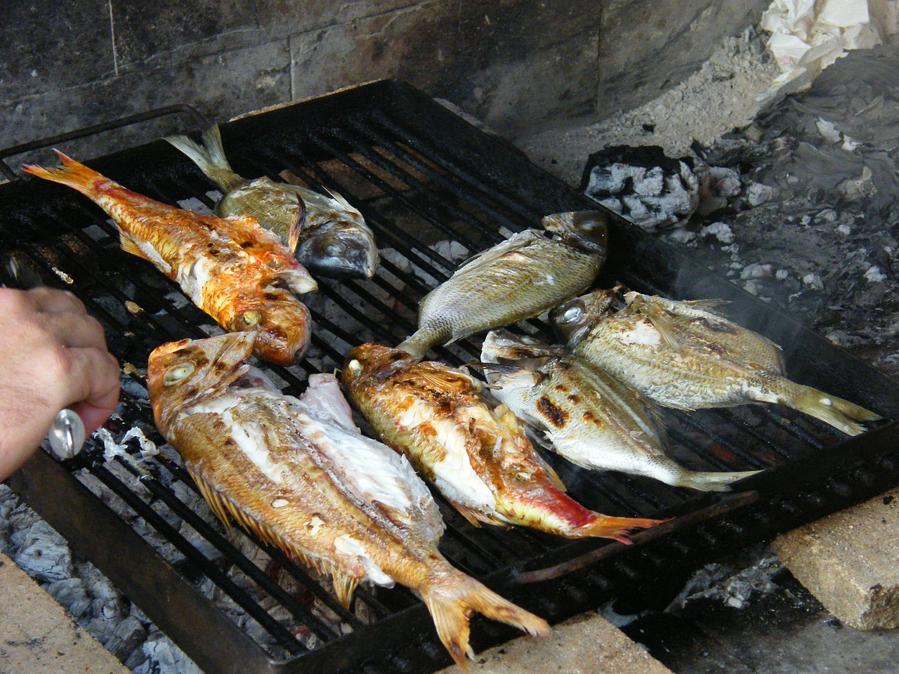 Žuvis, Barbekiu, Jūra, Skanus, Sveikas, Frisch, Valgyti, Viduržemio Jūros, Šventė, Gaudyti