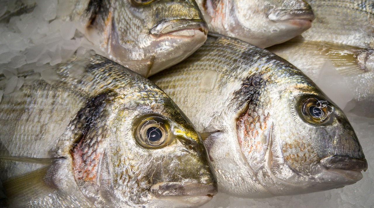 Žuvis, Jūrų Karšis, Žvejyba, Turgus, Žvejai, Nemokamos Nuotraukos,  Nemokama Licenzija