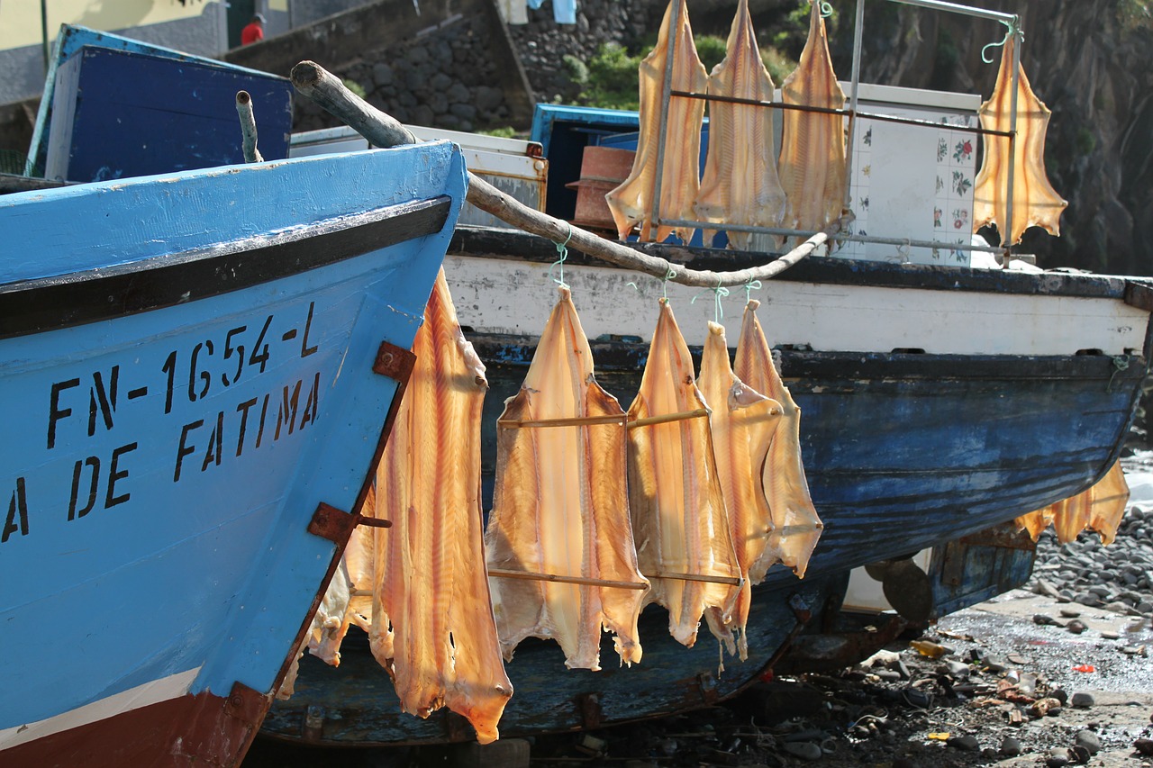 Žuvis, Žvejyba, Sugauti Žuvį, Vandenynas, Maistas, Mityba, Jūra, Madeira, Portugal, Laivas