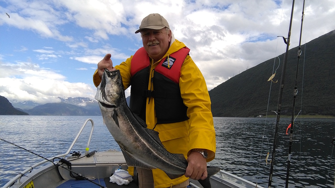 Žuvis, Norway Fjord, Šiaurė, Nemokamos Nuotraukos,  Nemokama Licenzija
