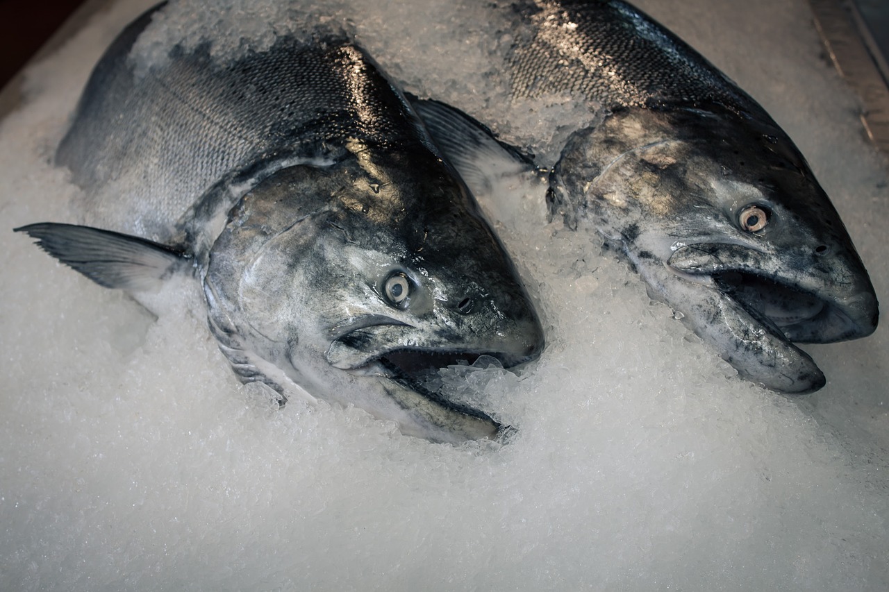 Žuvis, Sušaldyta Žuvis, Jūros Gėrybės, Turgus, Žaliavinis, Sveikas, Jūra, Vakarienė, Šaltas, Maistingas