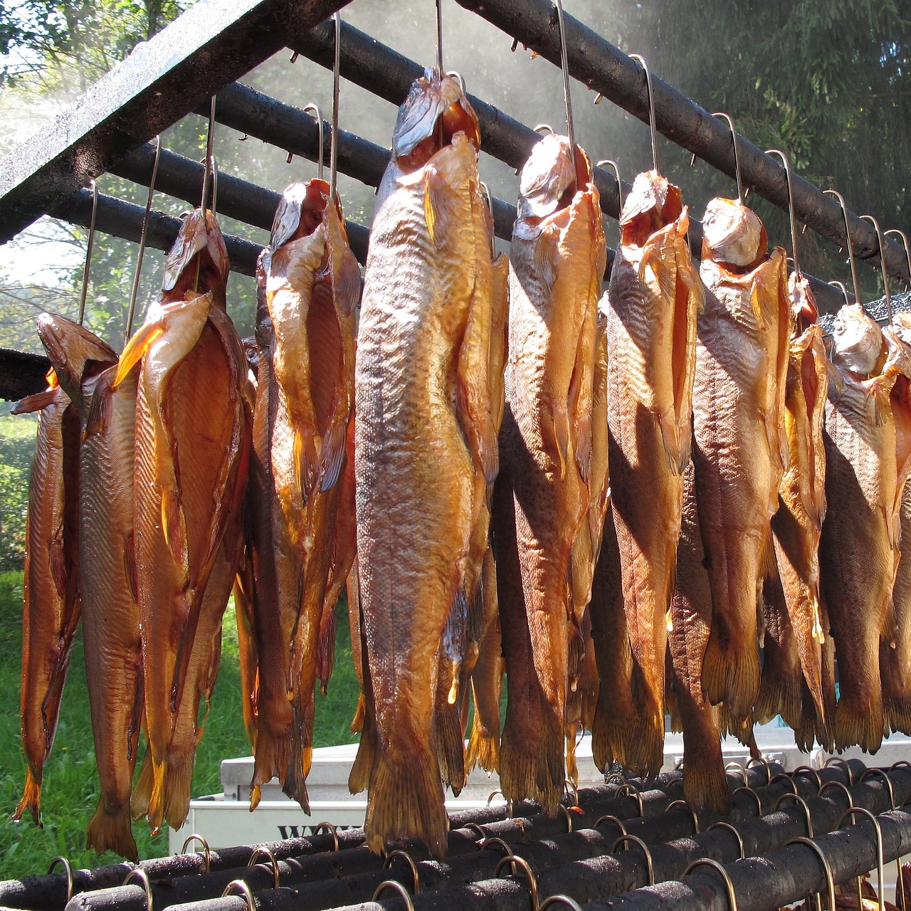 Žuvis, Rūkyta, Rūkyta Žuvis, Char, Fischraeucherei, Nemokamos Nuotraukos,  Nemokama Licenzija