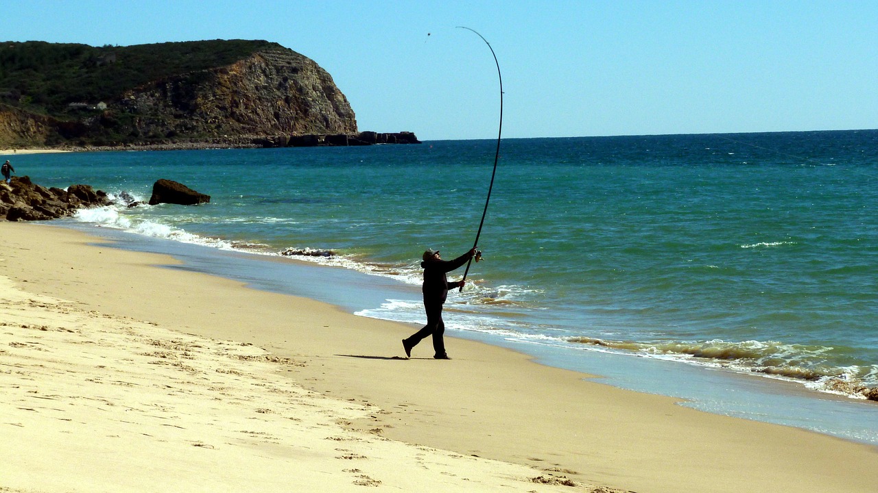 Žuvis, Jūra, Žvejyba, Sugauti Žuvį, Aistra, Algarve, Nemokamos Nuotraukos,  Nemokama Licenzija
