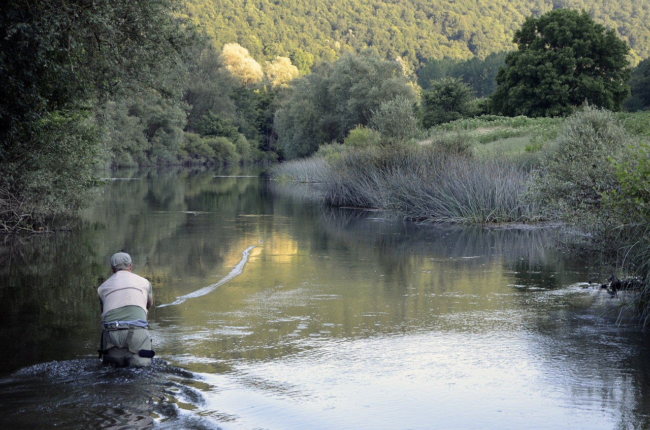 Žuvis, Kepinys, Gaudyti, Žvejyba, Gamta, Fauna, Nemokamos Nuotraukos,  Nemokama Licenzija